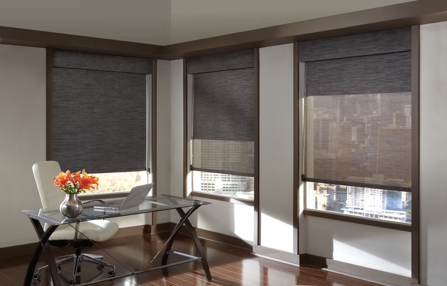 Roller and Screen Shades